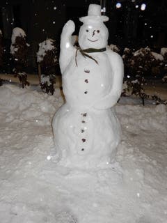 Hier kommt Ferdinand, der grüssende Schneemann aus St. Gallen, einmalig und eiskalt. (Bild: Roland Parigger)