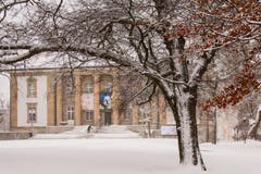 Winterdienst beim Naturmuseum in St. Gallen. (Bild: Franziska Hörler)