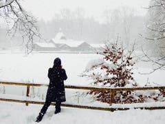 Dreikönigstag am Frauenweiher. (Bild: Uli Butz)
