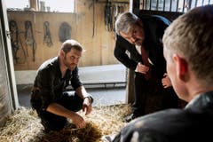 Ein Mordopfer in der Pferdebox. Samuel Streiff als Reto Doerig, Mike Müller als Luc Conrad, Martin Ostermeier als Dr. Alois Semmelweis. (Bild: SRF/Sava Hlavacek)