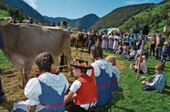Leonore, die alte und neue «Miss Alt St.Johann» mit Besitzer Jürg Ammann und seinen Töchtern mit Anhang.Bilder: Adi Lippuner