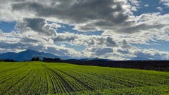 Die letzten Regenwolken verziehen sich. (Bild: Peter Bumbacher, Niederwil, 10. Oktober 2019)