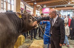 Bundesrat Alain Berset an der Olma-Eröffnung in St.Gallen. (Bild: Michel Canonica)