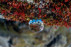 Im Lensball spiegelt sich unsere schöne Bergwelt (Fünffingerstöcke) Kanton Uri. Herbstmoment in den Schweizer Alpen. (Bild: Beni Geiger, Wanderweg zur Sustlihütte, 10. Oktober 2019)