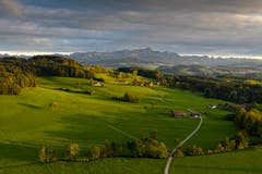 Abendstimmung mit Licht und Schatten bei Waldkirch. (Bild: Markus Wäger)