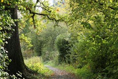 Farbenspiel in Schein der Herbstsonne. (Bild: Irene Wanner, Schötz, 10. Oktober 2019)