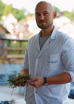 Pharmaingenieur Christian Stübi begutachtet die angelieferte Ware. (Bild: Karin Erni)