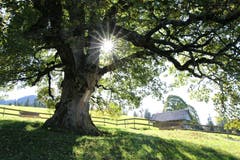 Seelensteg – die Stille und die Farben des Herbstes auf sich wirken lassen. (Bild: Irene Wanner, Heiligkreuz, 11. Oktober 2019)