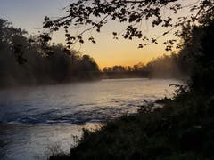 Morgennebel über der Thur. (Bild: Stepahn Lendi)