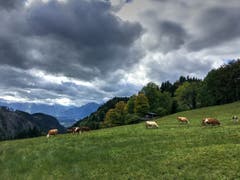 Millrütte: Aprilwetter im Oktober. (Bid: Toni Siber)