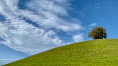 Ein sonniger Herbsttag. (Bild: Peter Bumbacher, Neuheim, 13. Oktober 2019)