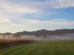 Nebelschwaden im Thurtal. (Bild: Hansjürg Oesch)