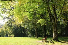 Den goldigen Herbst geniessen. (Bild: Irene Wanner, Langenthal, 14. Oktober 2019)