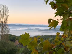 Morgenstimmung mit Blick von Kalchrain über das Thurtal. (Bild: Sabine Schoch)