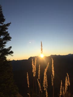 Was gibt es Schöneres? (Bild: Isabelle Müller-Bucheli, Schwyz, Oktober 2019)