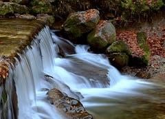 Herbststimmung bei Jakobsbad. (Bild: Hans Adelmann)