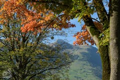Der Margelkopf herbstlich eingerahmt. (Bild: Claudia Züst-Zwyssig)