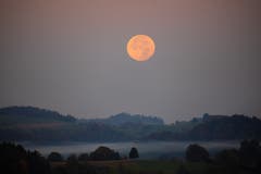 Wenn der Vollmond langsam unter geht. (Bild: René Burch, Ruswil, 14. Oktober 2019)
