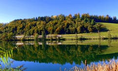 Herbststimmung am Rotsee. (Bild: Walter Buholzer, Rotsee, 16. Oktober 2019)