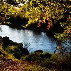 Bunter Herbst an der Thur in Bischofszell. (Bild: Reto Schlegel)