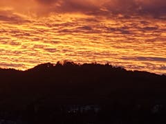 Sonnenaufgang über dem Freudenberg. (Bild: Gabriela Schneider)