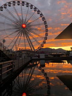 Määs bei Morgenstimmung. (Bild: J. Ochsner, Luzern, 14. Oktober 2019)