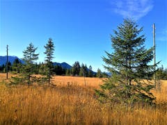 Goldener Herbsttag bei strahlendem Sonnenschein. (Bild: Urs Gutfleisch, Entlebuch, 16. Oktober 2019)