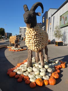 Kürbisausstellung im Emmen Center. (Bild: Heinrich Inderbitzin, 17. Oktober 2019)