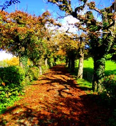 Herbststimmung auf dem Utenberg. (Bild: Utenberg, 17. Oktober 2019)