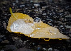 Schwere Last nach dem Regenfall. (Bild: Stephan Lendi)