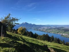 Schönste Sicht von der Seebodenalp. (Bild: Brigitte Henggeler, 11. Oktober 2019)