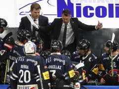Findet den Draht zu seinen Spielern: Fribourg-Gottèrons Sportchef und Interimscoach Christian Dubé (Bild: KEYSTONE/PETER KLAUNZER)