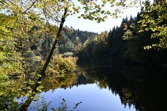 Der Herbst ist angekommen am Steinhauser Waldweiher. (Bild: Werner Walker, Steinhausen, 17. Oktober 2019)