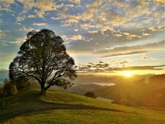 Was für ein traumhafter Sonnenaufgang heute Morgen auf dem Holderchäppeli. Einfach nur zum Geniessen. (Bild: Urs Gutfleisch, Holderchäppeli, 18. Oktober 2019)