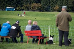 Impressionen der Schweizermeisterschaft der Hütehunde 2019. (Bild: Pius Amrein, Rain, 18. Oktober 2019)