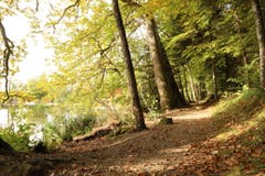 Herbststimmung am Steinibühlweiher (Bild: Xaver Husmann, Sempach, 18. Oktober 2019)