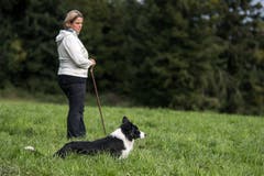 Impressionen der Schweizermeisterschaft der Hütehunde 2019. (Bild: Pius Amrein, Rain, 18. Oktober 2019)
