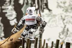 Im RobertaRegioZentrum sollen Schülerinnen und Schüler die Entwicklung der Robotik aktiv verfolgen, besser verstehen und kritisch hinterfragen. Im Bild: Der Roboter Darwin.