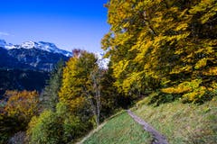 Goldiger Oktober in Engelberg. (Bild: Vinzenz Blum, 17. Oktober 2019)