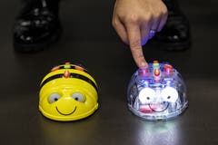 «Beebot» und «Bluebot» heissen diese beiden Robotertierli.