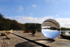 Mit dem Lensball auf Entdeckungsreise am Steinibühlweiher. (Bild: Xaver Husmann, Sempach, 19. Oktober 2019)
