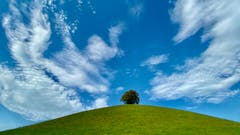 Ein sonniger Herbsttag. (Bild: Peter Bumbacher, Neuheim, 13. Oktober 2019)