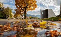 Der Herbst hält Einzug. (Bild: Daniel Hegglin, Zug, 19. Oktober 2019)