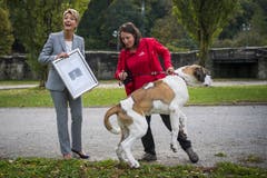 (Bild: Keystone/Jean-Christophe Bott)