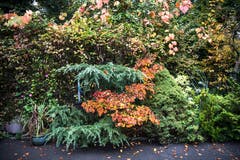 Impressionen aus dem Garten von Retha Scherrer. (Bild: Pius Amrein, Ebikon, 22. Oktober 2019)
