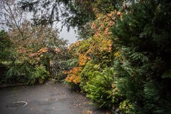 Impressionen aus dem Garten von Retha Scherrer. (Bild: Pius Amrein, Ebikon, 22. Oktober 2019)