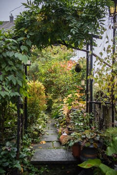 Impressionen aus dem Garten von Retha Scherrer. (Bild: Pius Amrein, Ebikon, 22. Oktober 2019)
