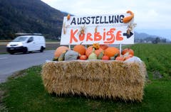 Der bunte Wegweiser zwischen Sevelen und Plattis ist nicht zu übersehen.