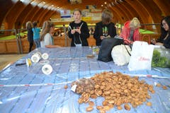Aus Nusshälften werden, am Basteltisch unter kundiger Anleitung, kleine Kunstwerke. (Bild: Adi Lippuner)
