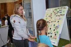 Das Geschicklichkeitsspiel «Bring Lovley auf die Weide», ist beim Nachwuchs beliebt. (Bild: Adi Lippuner)